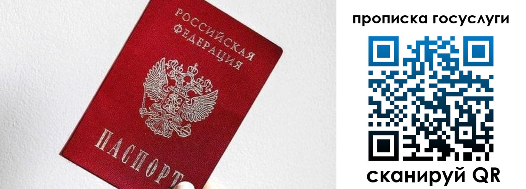 прописка законно в Заинске